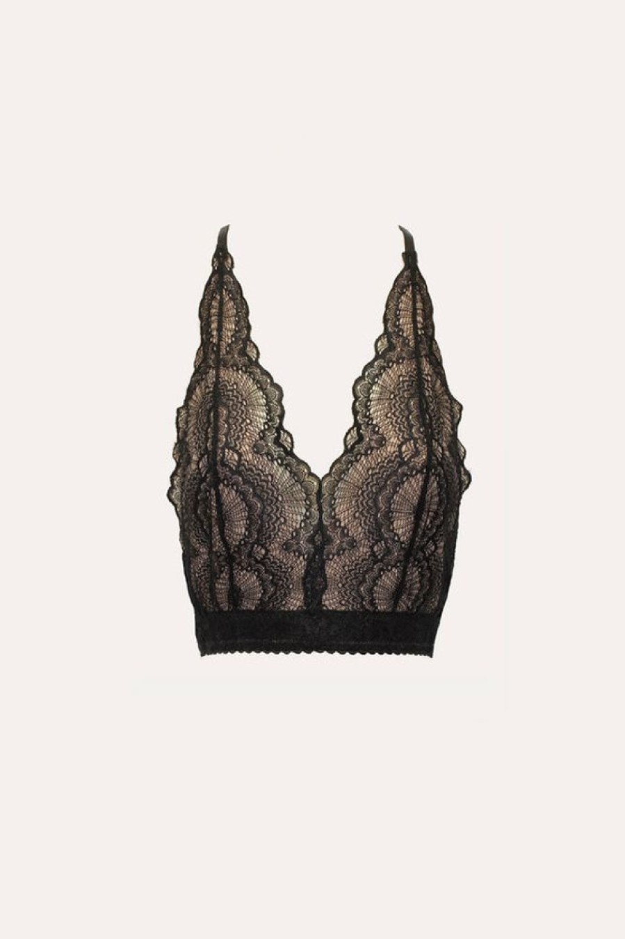 Women Wonderlust | Louche Lace Bra Top